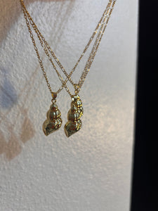 The shell necklace