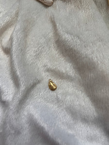Tiny Shelly