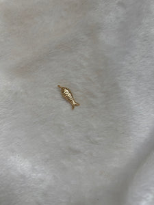 Sardina charm