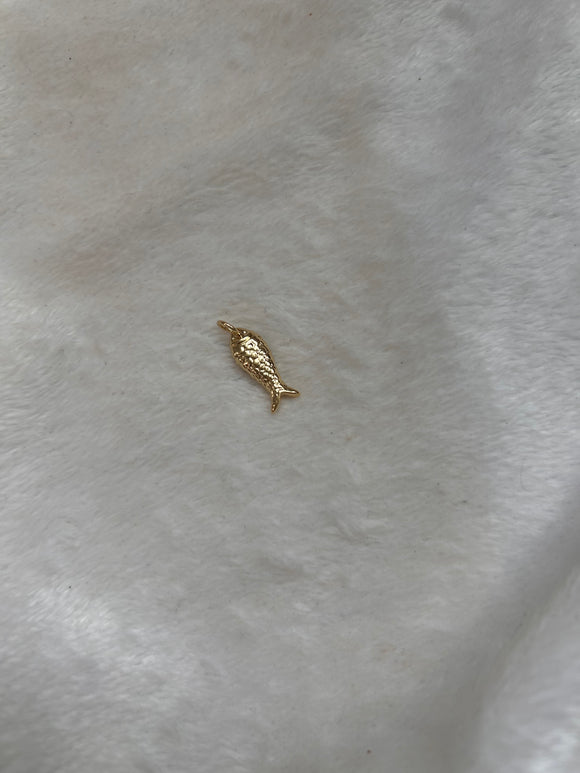 Sardina charm
