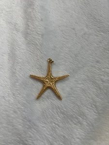 Chunky starfish