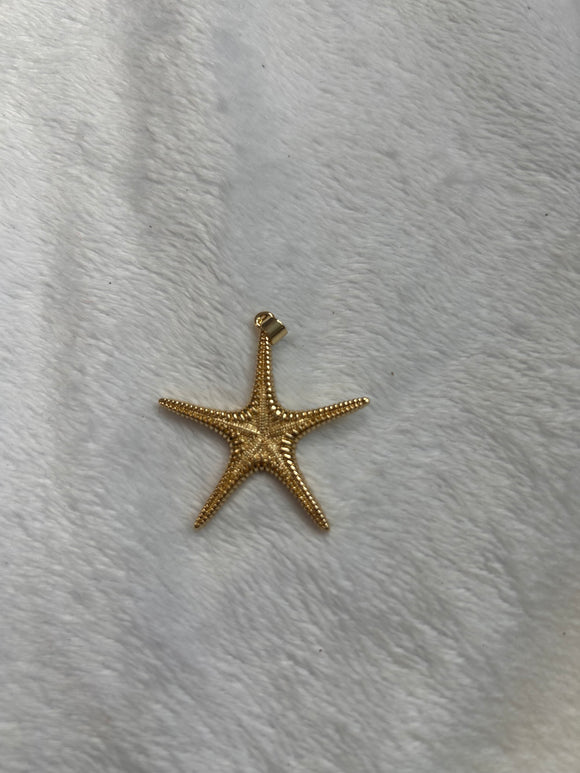 Chunky starfish