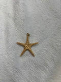 Chunky starfish