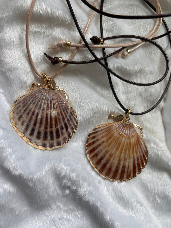 Wraparound pearly shell