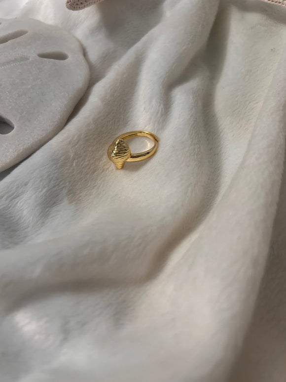 Spiral shell ring