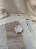 Creamy shell