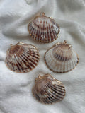 Chunky Shell charm