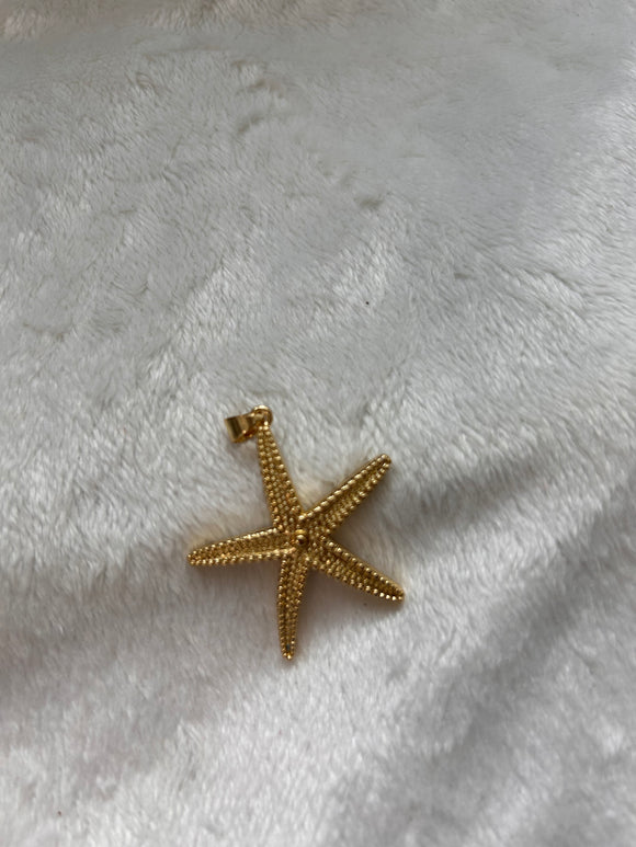 Chunky starfish