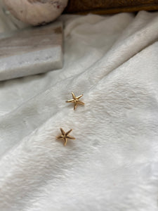 Starfish studs