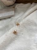 Starfish studs