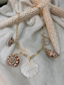 The shells necklace