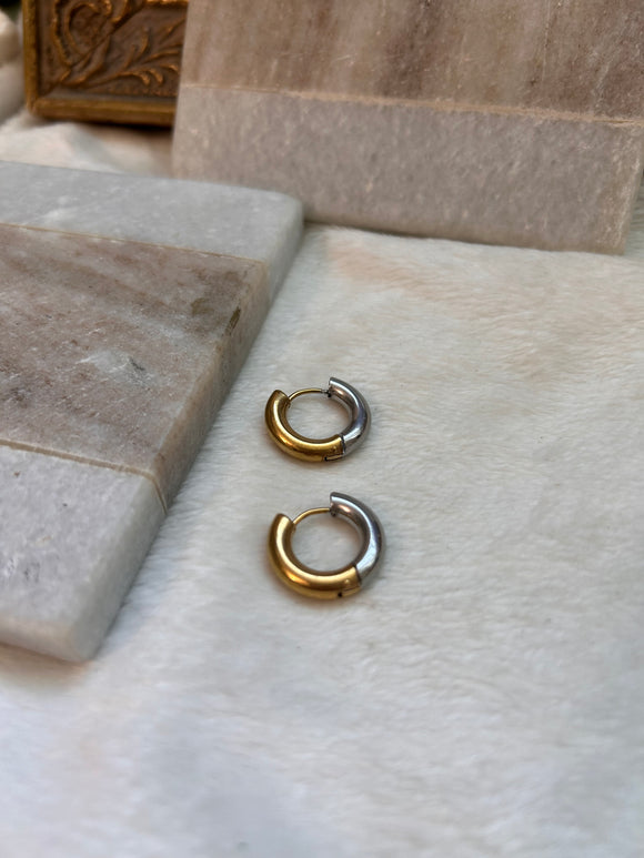 Doble tone earrings